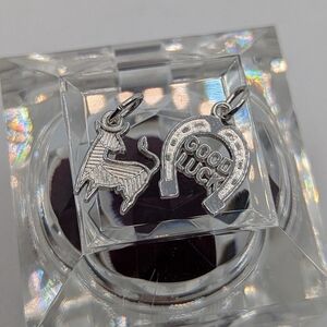 Silver Zodiac and Horseshoe Charms